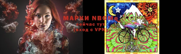 прущий лед Алзамай