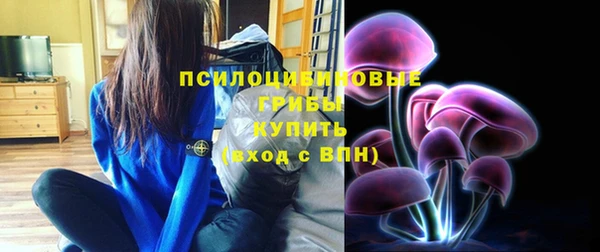 твердый Алексеевка