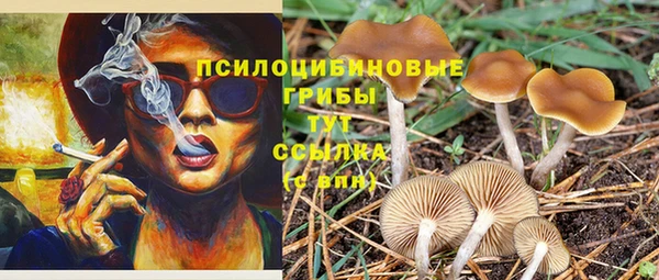 сатива Алексин