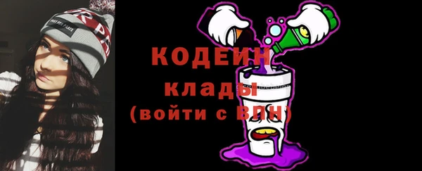 прущий лед Алзамай
