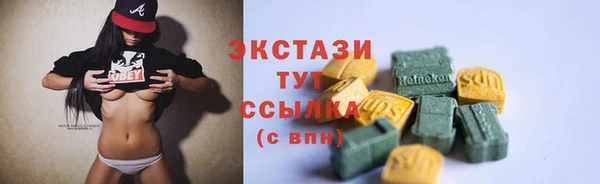 прущий лед Алзамай