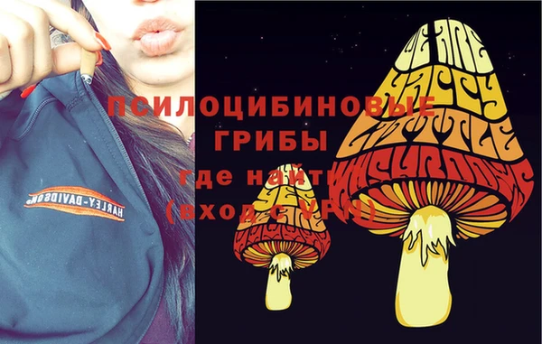 твердый Алексеевка