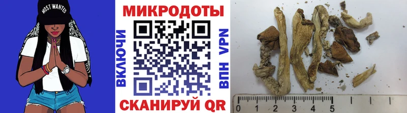 даркнет какой сайт  OMG зеркало  Калтан  Галлюциногенные грибы прущие грибы 